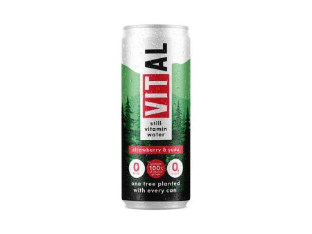 VITAL Drinks Strawberry + Yuzu still Vitamin water. 100% of vit groups 300ml Online