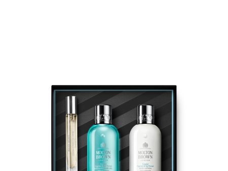 Coastal Cypress & Sea Fennel Travel Collection Sale