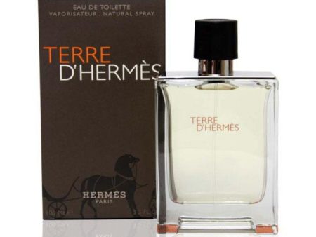 Terre D Hermes 100ml For Cheap