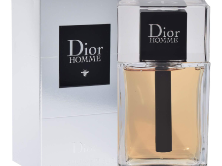 Dior Homme 100ml For Discount