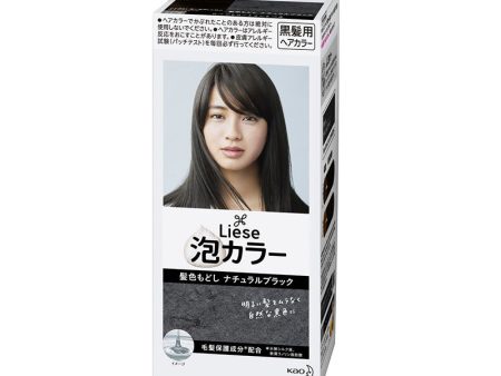 Kao Liese Prettia Bubble Hair Color (Black) For Discount