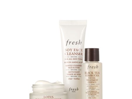 Fresh Favorites Travel Trio Gift Set For Discount