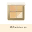 Judydoll 5-shade Full Coverage Concealer Palette Online