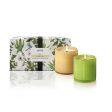 Herbal Classic Candle Duo For Cheap