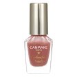 Canmake Colorful Nails N43 Raspberry Ganache Online