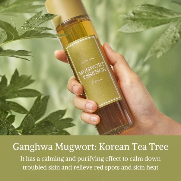 I m From Mugwort Essence 160ml Online Sale